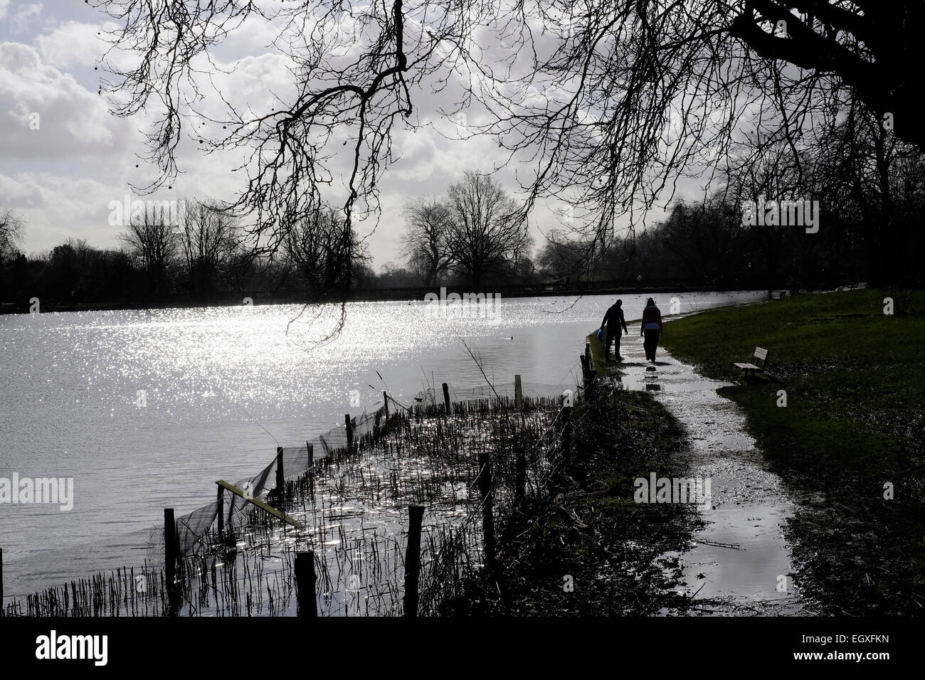 Un couple en silhouette marcher par les étangs, Londres Hampstead Heath Banque D'Images