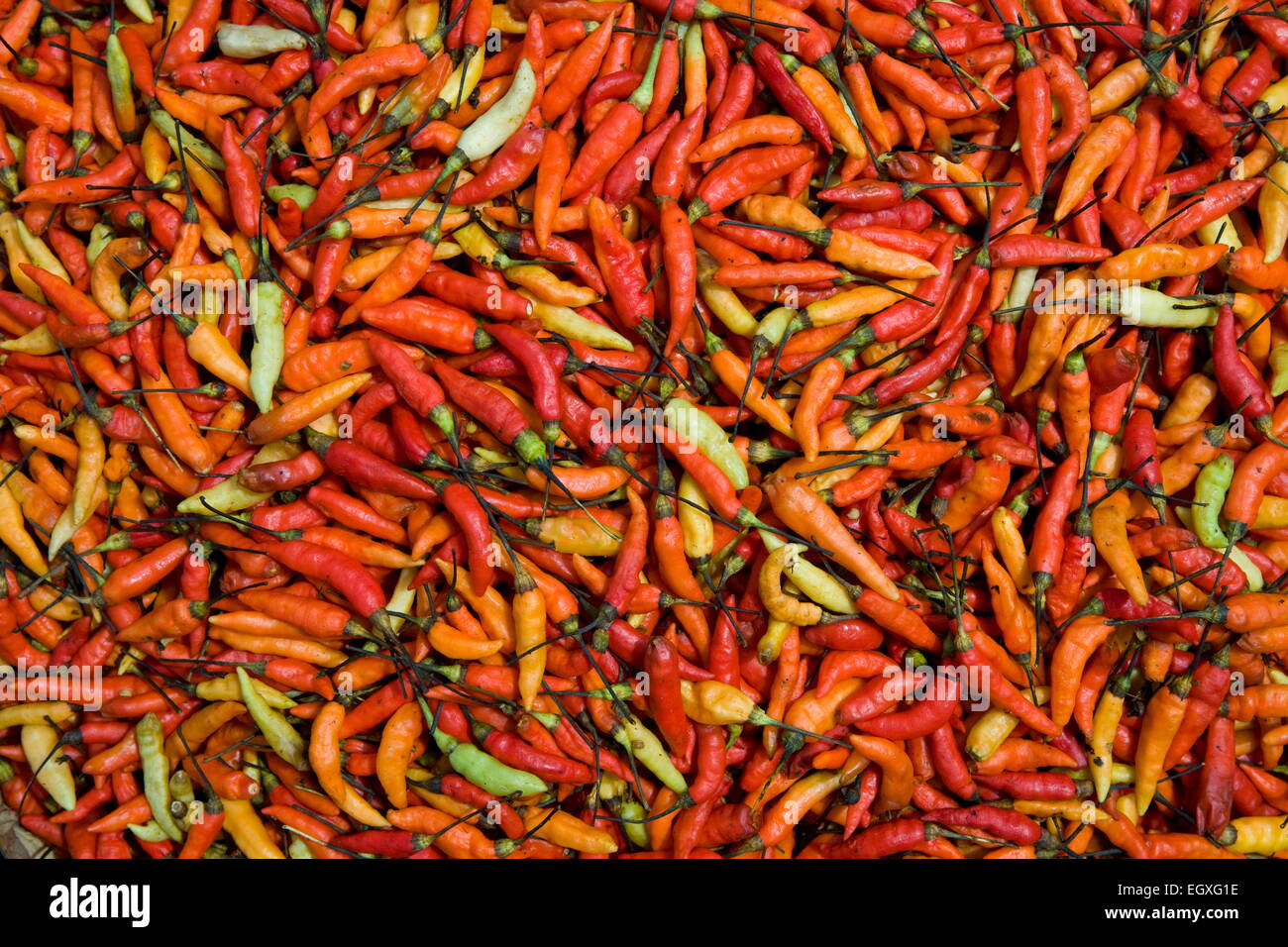 Piment de guinée Banque de photographies et d’images à haute résolution