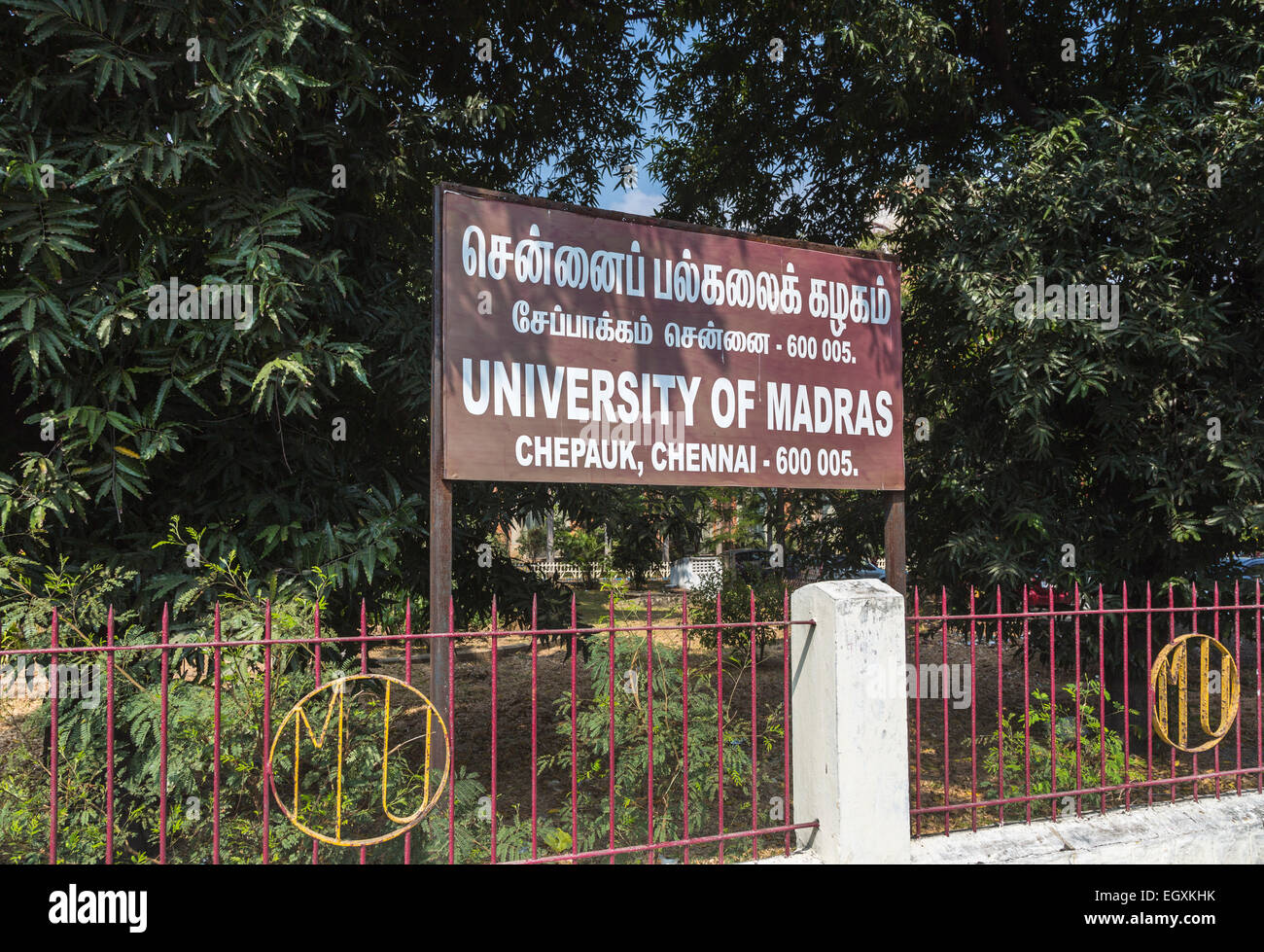 L'enseignement supérieur de niveau universitaire indien Nom : inscription à l'Université de Madras, Chennai, Tamil Nadu, Inde du sud Banque D'Images