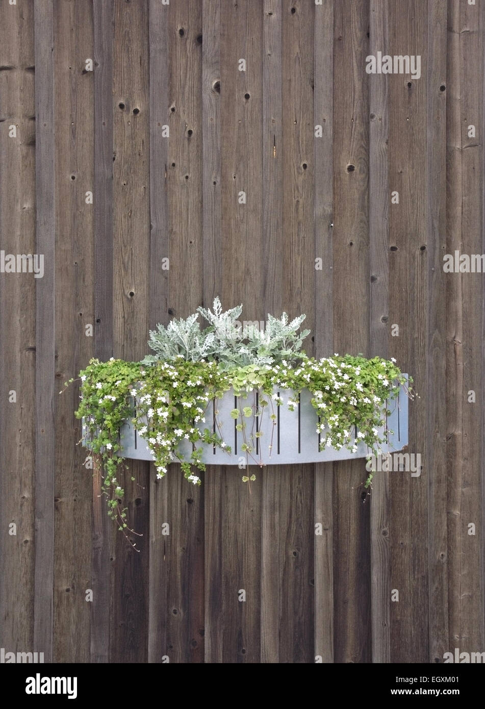 Mur en bois avec décoration de fleurs. Banque D'Images