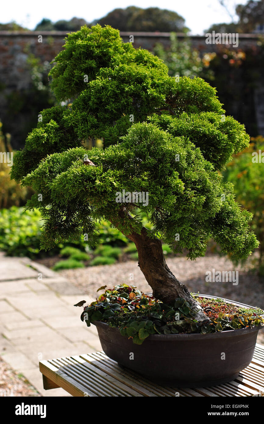 Jersey gardens Banque de photographies et d’images à haute résolution