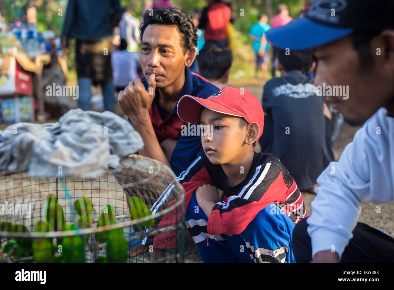 BALI. L'Indonésie. Birdie la vente. Banque D'Images