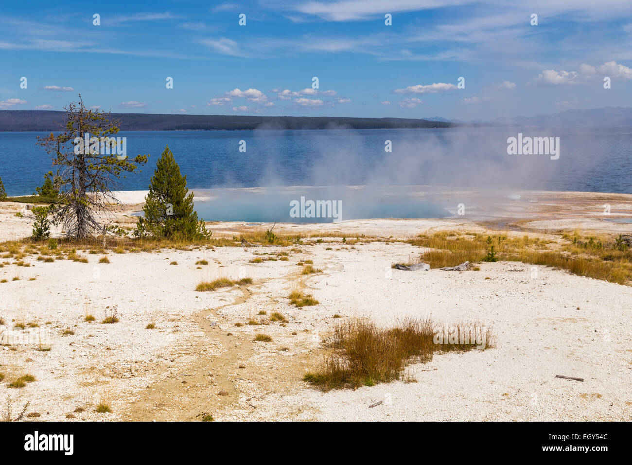 Le Parc National de Yellowstone, Wyoming, United States 20 Septembre 2014 - Le Lac Yellowstone en arrière-plan de mourir la masse dans le fo Banque D'Images