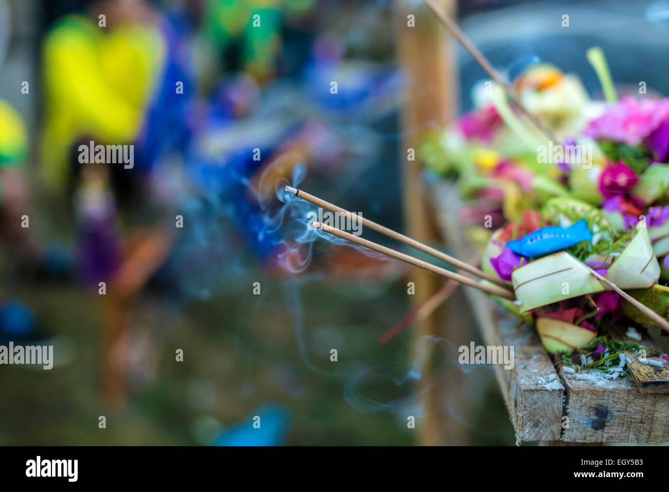 Bufalo race.L'île de Bali.L'Indonésie. Banque D'Images