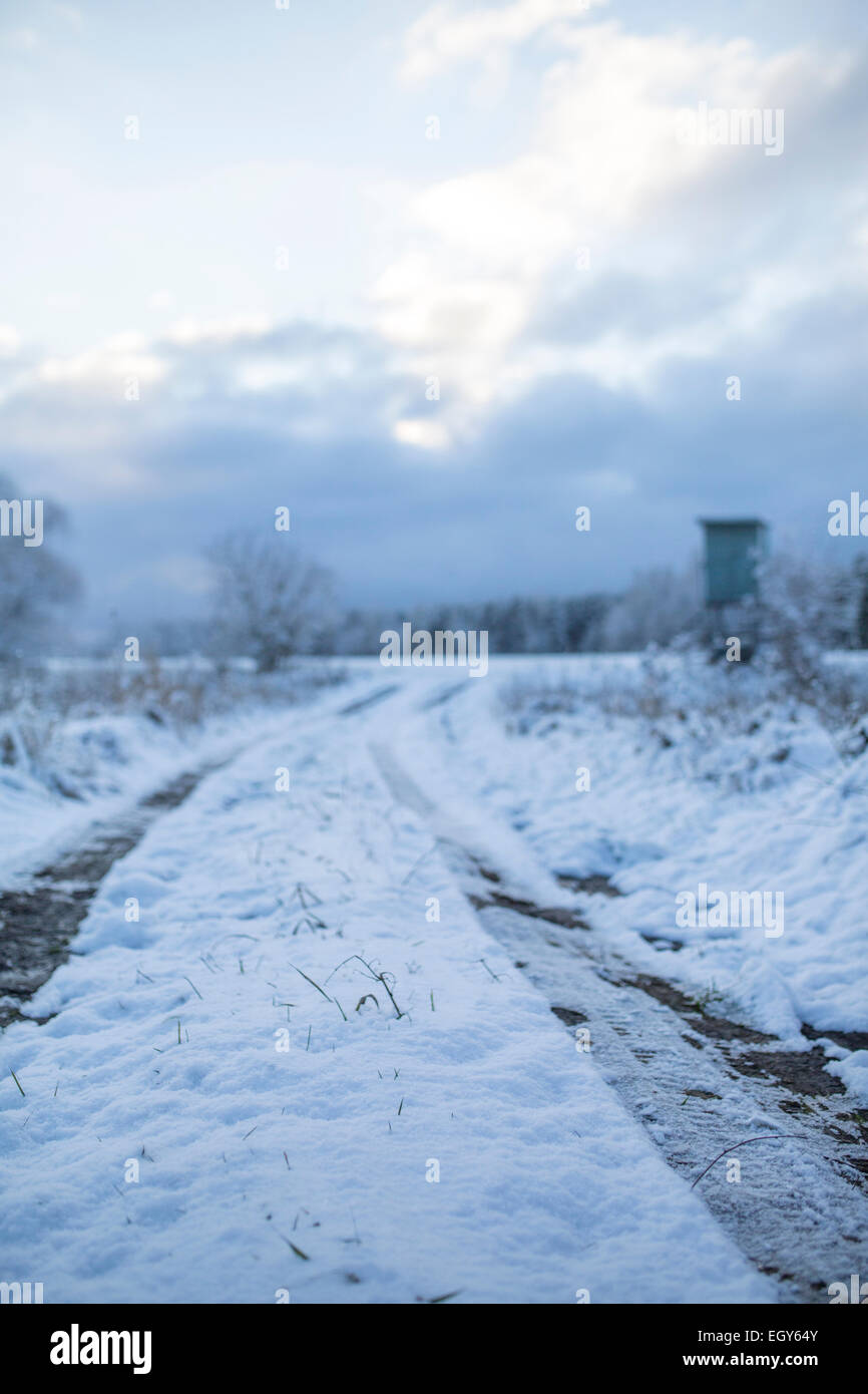 Allemagne, Brandebourg, paysage champ couvert de neige d'abord Banque D'Images