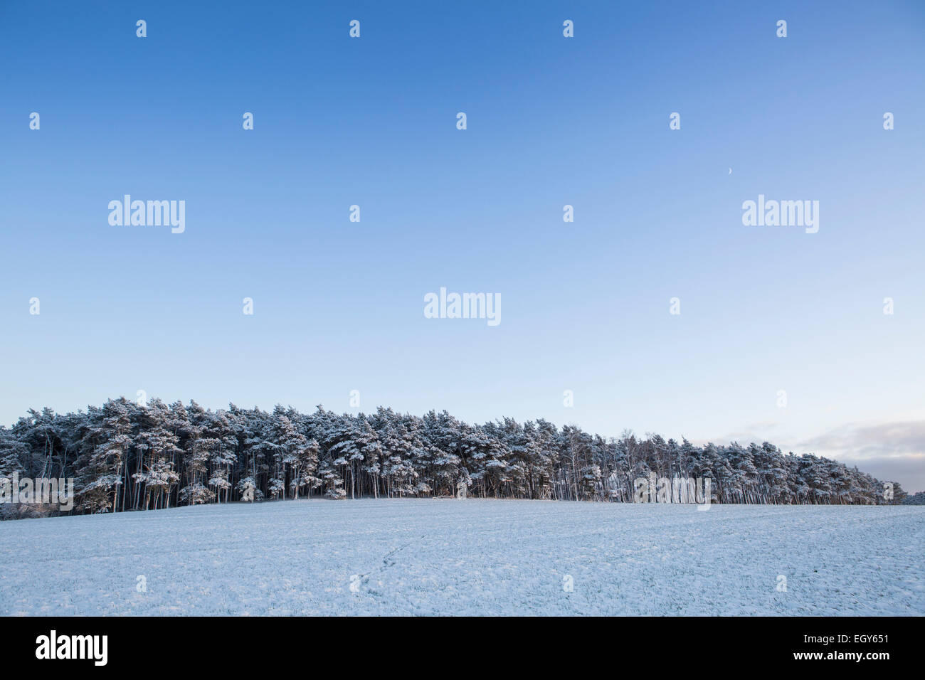 Allemagne, Brandebourg, paysage champ couvert de neige d'abord Banque D'Images