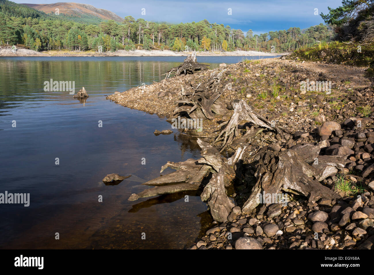 Glen Affric, Ecosse, Royaume-Uni Banque D'Images