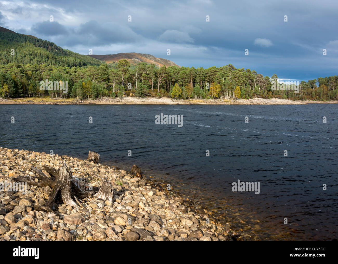 Glen Affric, Ecosse, Royaume-Uni Banque D'Images