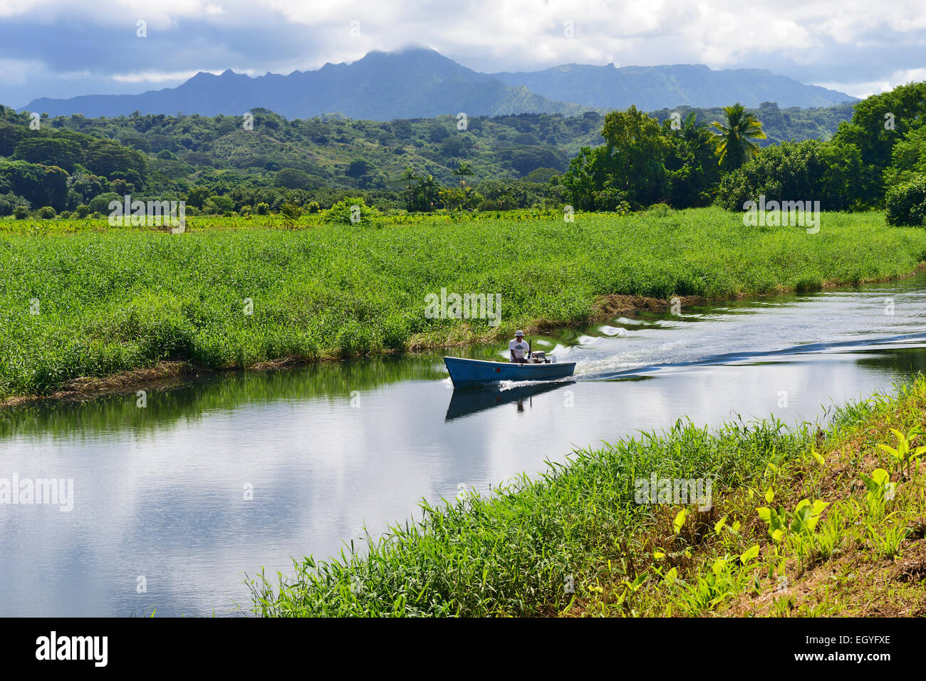 Bateau sur la rivière Hanalei, Kauai, Hawaii, USA Banque D'Images