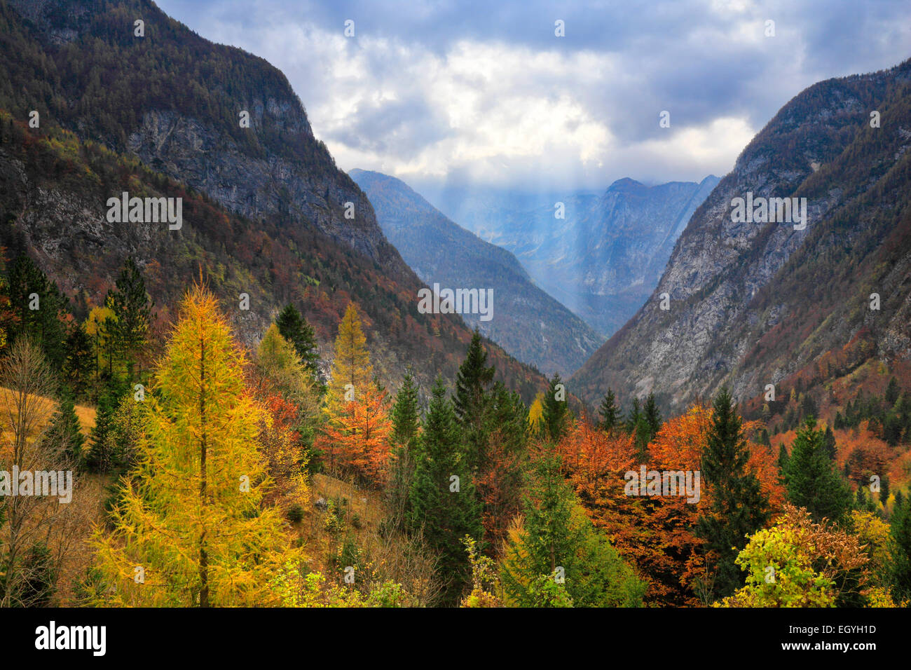 Alpes slovènes à l'automne près de. Trenta valley. Banque D'Images