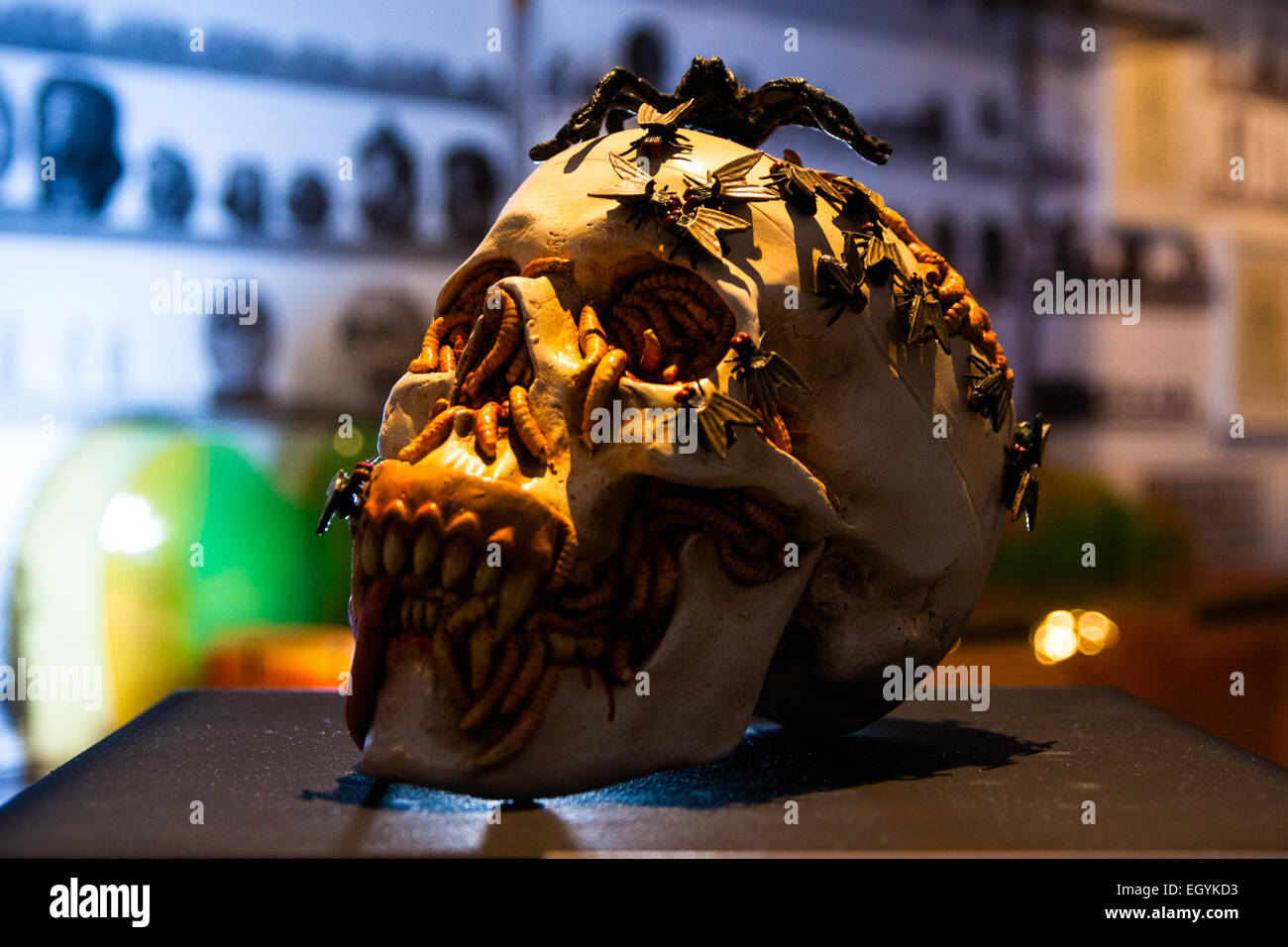 Londres, Royaume-Uni. 4 mars, 2015. Sotheby's à Londres accueille les "l'une des plus extraordinaires collections de notre temps', un anonyme de la grande assemblée des pièces d'art, dont des crânes d'ours, sculptures, peintures et installations. Sur la photo : 'Migraine' par Jake et Dinos Chapman, qui est prévu pour aller chercher entre £20-30,000, Crédit : Paul Davey/Alamy Live News Banque D'Images