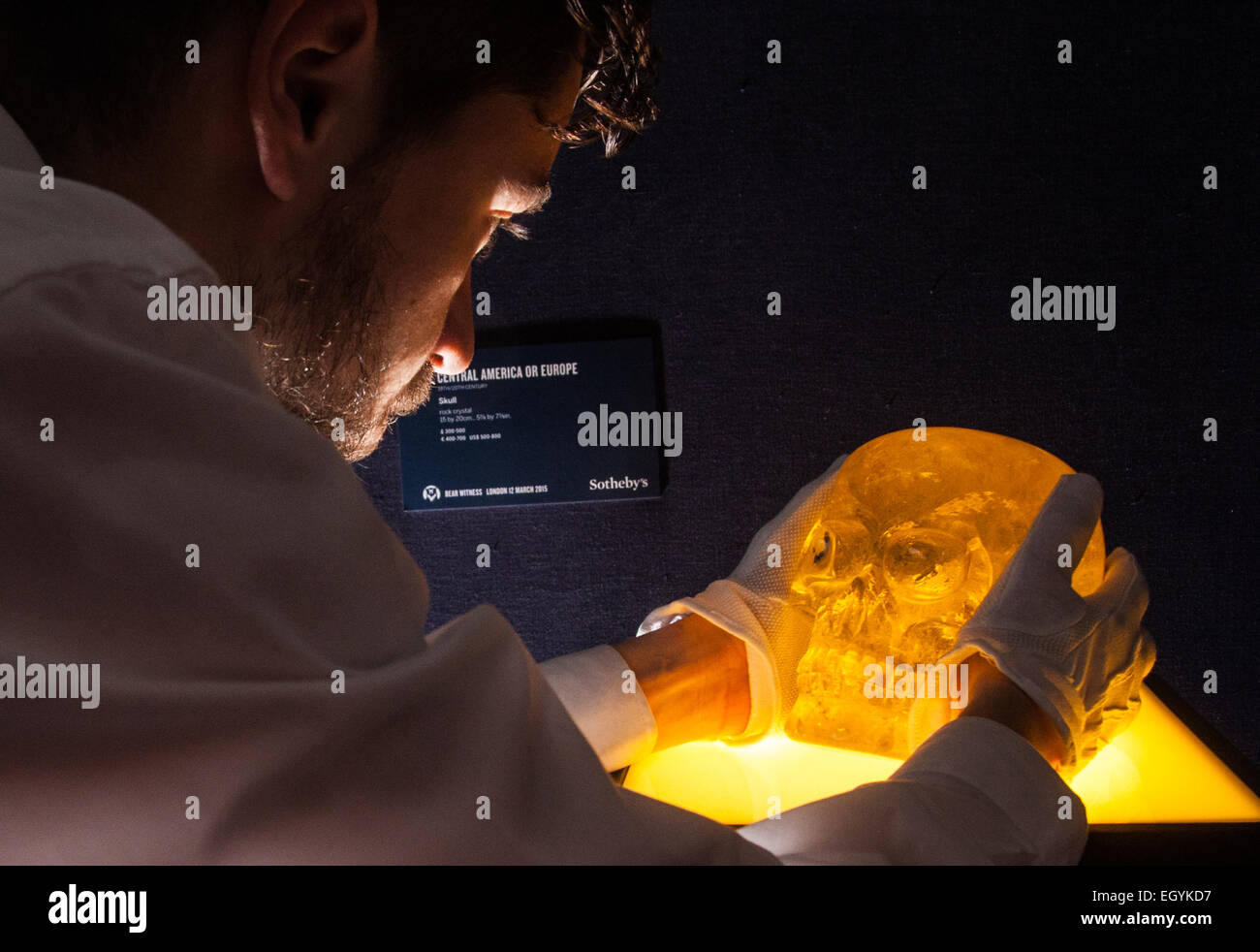 Londres, Royaume-Uni. 4 mars, 2015. Sotheby's à Londres accueille les "l'une des plus extraordinaires collections de notre temps', un anonyme de la grande assemblée des pièces d'art, dont des crânes d'ours, sculptures, peintures et installations. Sur la photo : un travailleur galerie place un crâne de verre sur une plinthe. Crédit : Paul Davey/Alamy Live News Banque D'Images