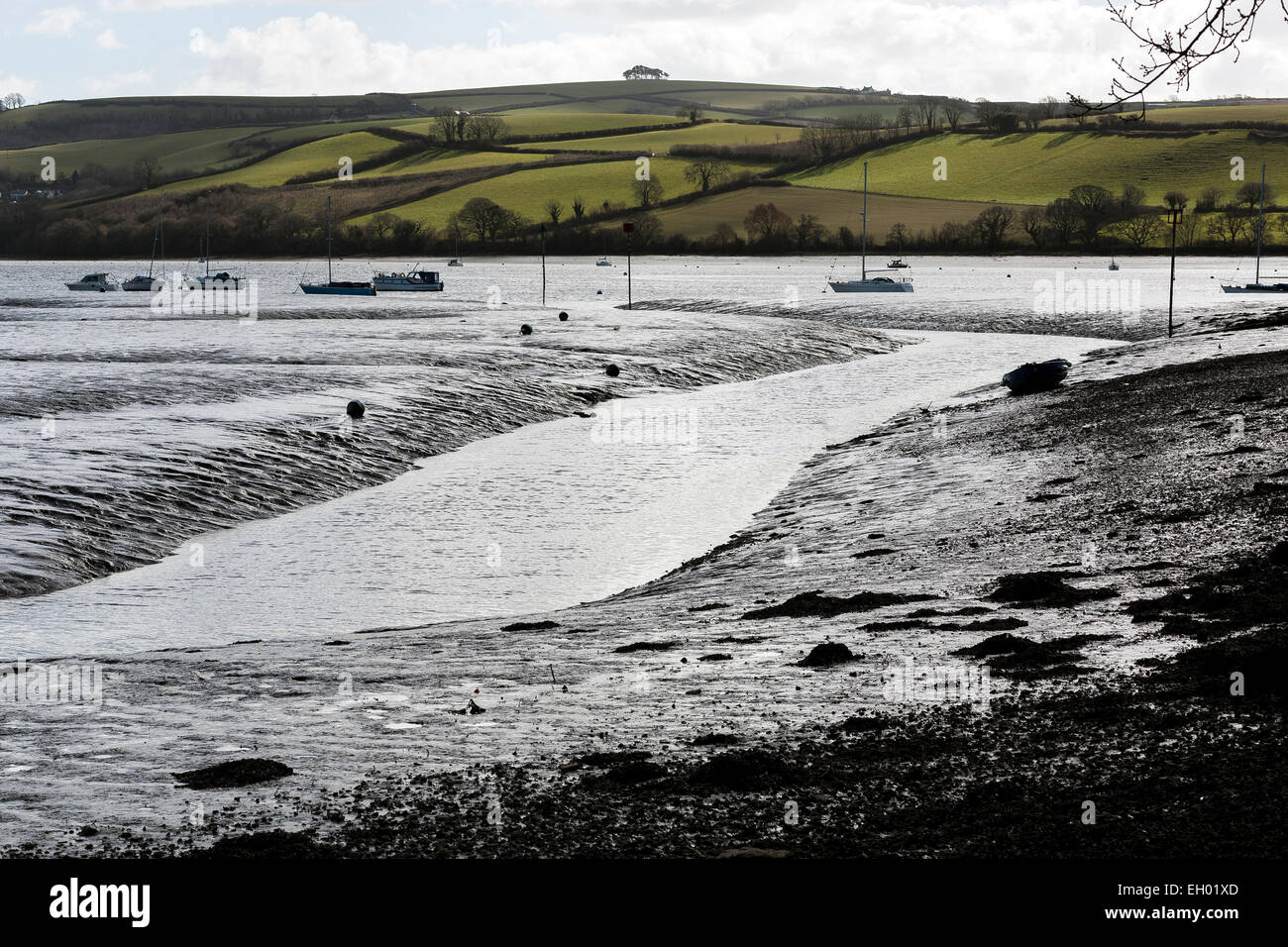 Marée basse à Stoke gabriel, South Hams, Devon, la marée basse à Stoke gabriel, South Hams, Devon,Rivière, de la rivière Dart, l'eau, l'eau qui coule, Banque D'Images