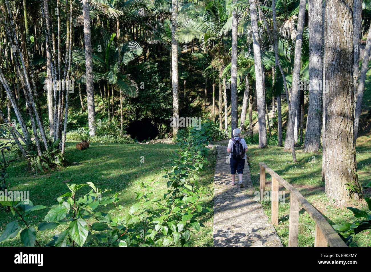 Tourisme Senior sur chemin de cave dans les jardins botaniques sur Pico Isabel de Torres, San Felipe de Puerto Plata, République Dominicaine Banque D'Images