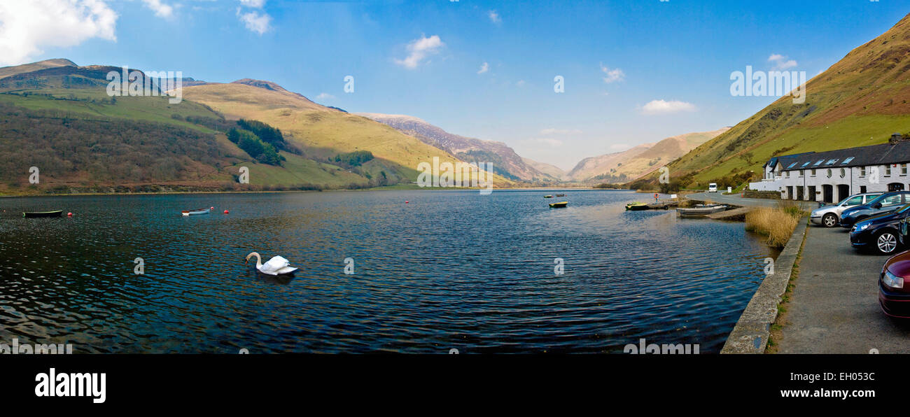 Tal-Llyn Lake, Gwynedd, Pays de Galles, Royaume-Uni. Banque D'Images
