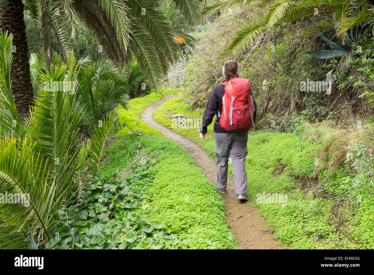 Espagne, Canaries, La Gomera, Vallehermoso, randonneur près de Epina Banque D'Images