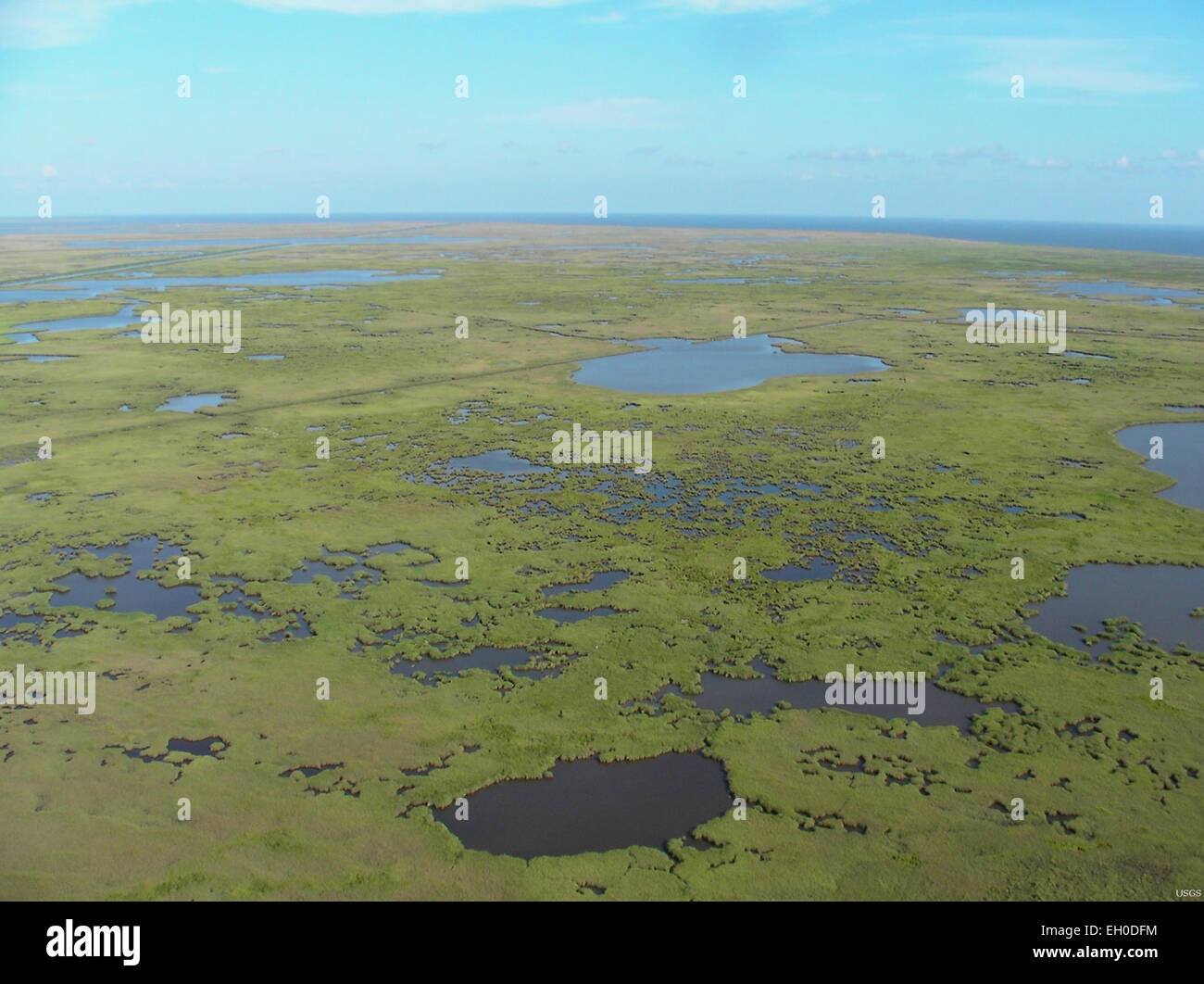 Le delta du fleuve Mississippi, un écosystème de terres humides essentiel, fournit des habitats essentiels pour la faune, y compris la sauvagine et les espèces migratrices. Le delta soutient la biodiversité et joue un rôle vital dans la gestion régionale de l’eau. Banque D'Images