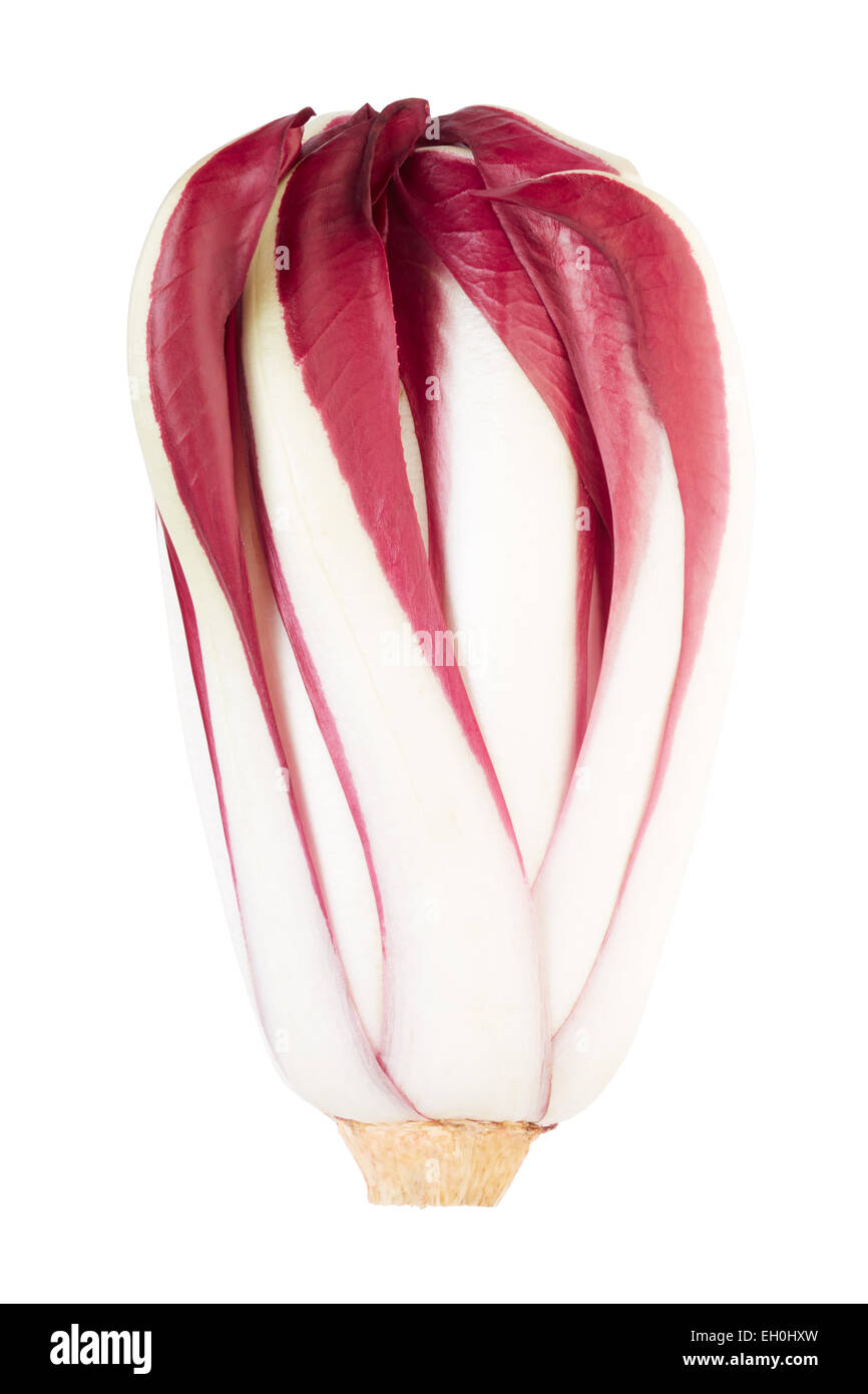 Chicorée de Trévise rouge, Radicchio Banque D'Images