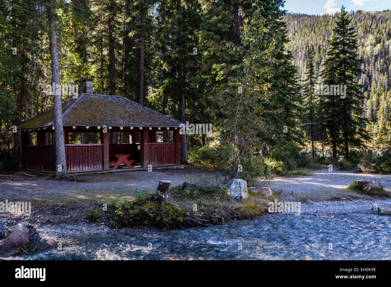 Un cuisinier-chambre versé pour des pique-niques dans la forêt des Montagnes Rocheuses de l'Alberta, Canada, dans un terrain de camping en retraite. Banque D'Images