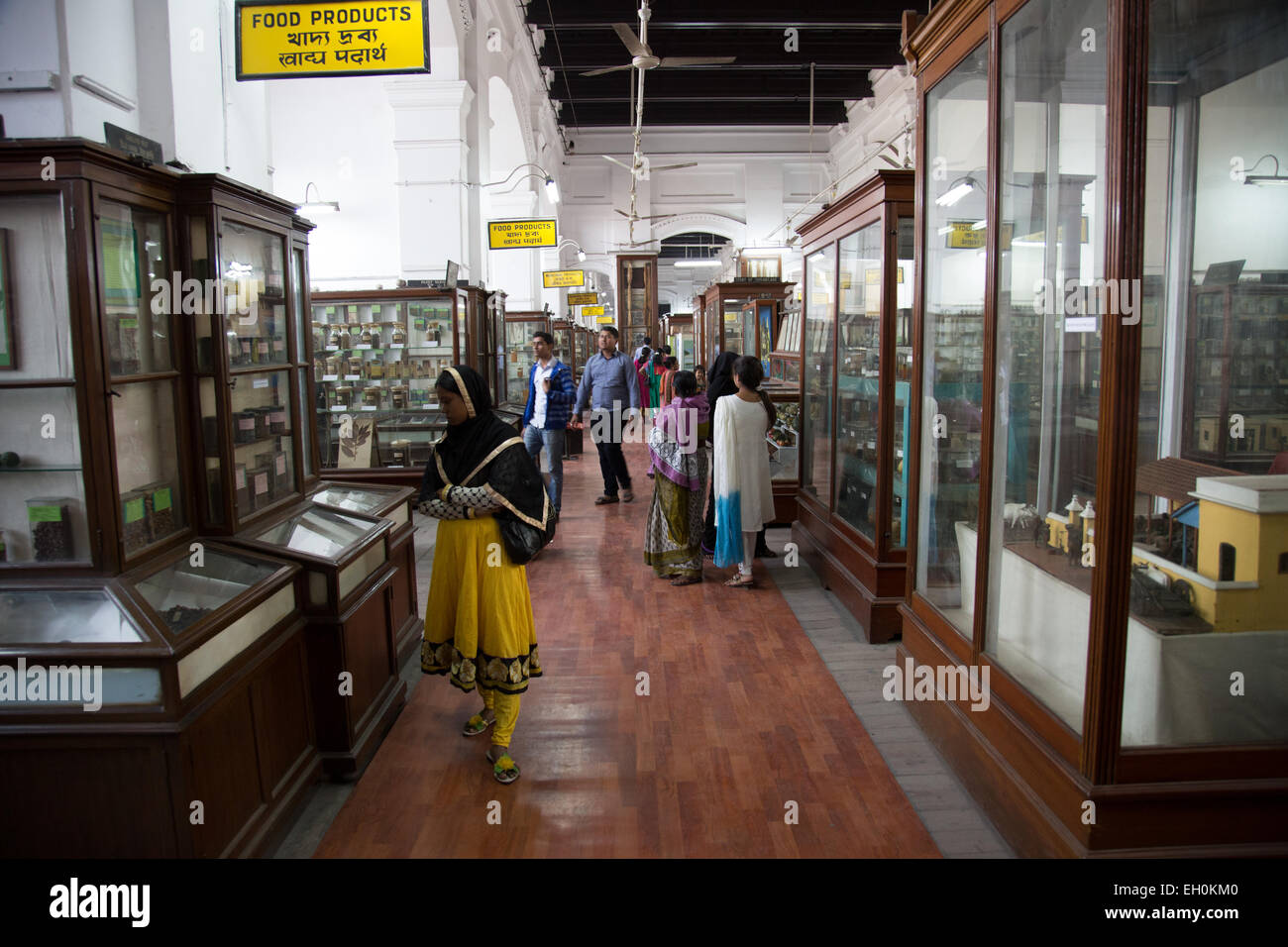 L'Indian Museum Kolkata provenait de la société asiatique du Bengale. Banque D'Images