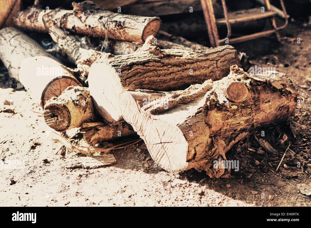 Une pile de bois de chauffage coupé plein de poussière Banque D'Images