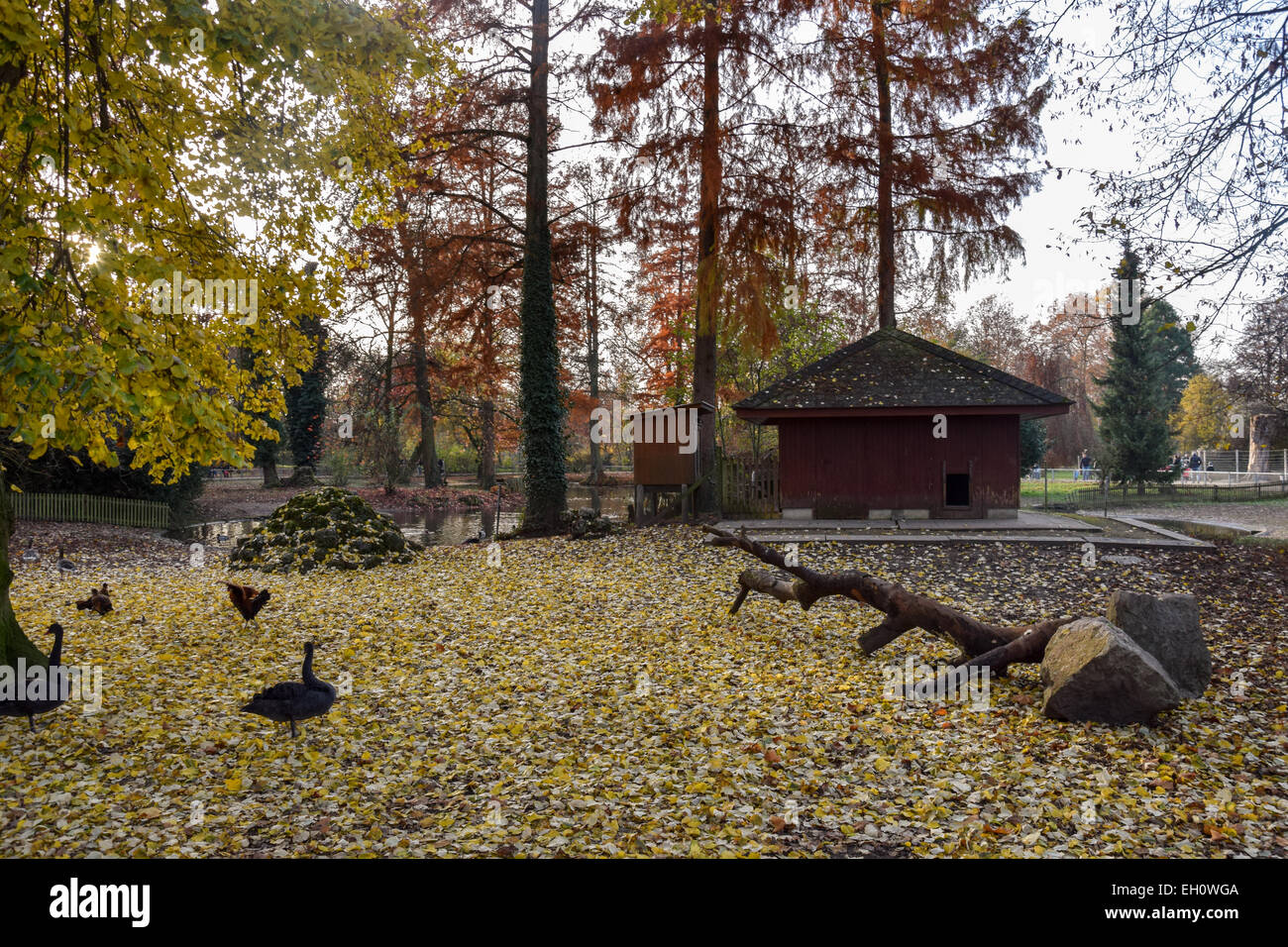 Parc animalier (Tierpark) à Bâle, Suisse Banque D'Images