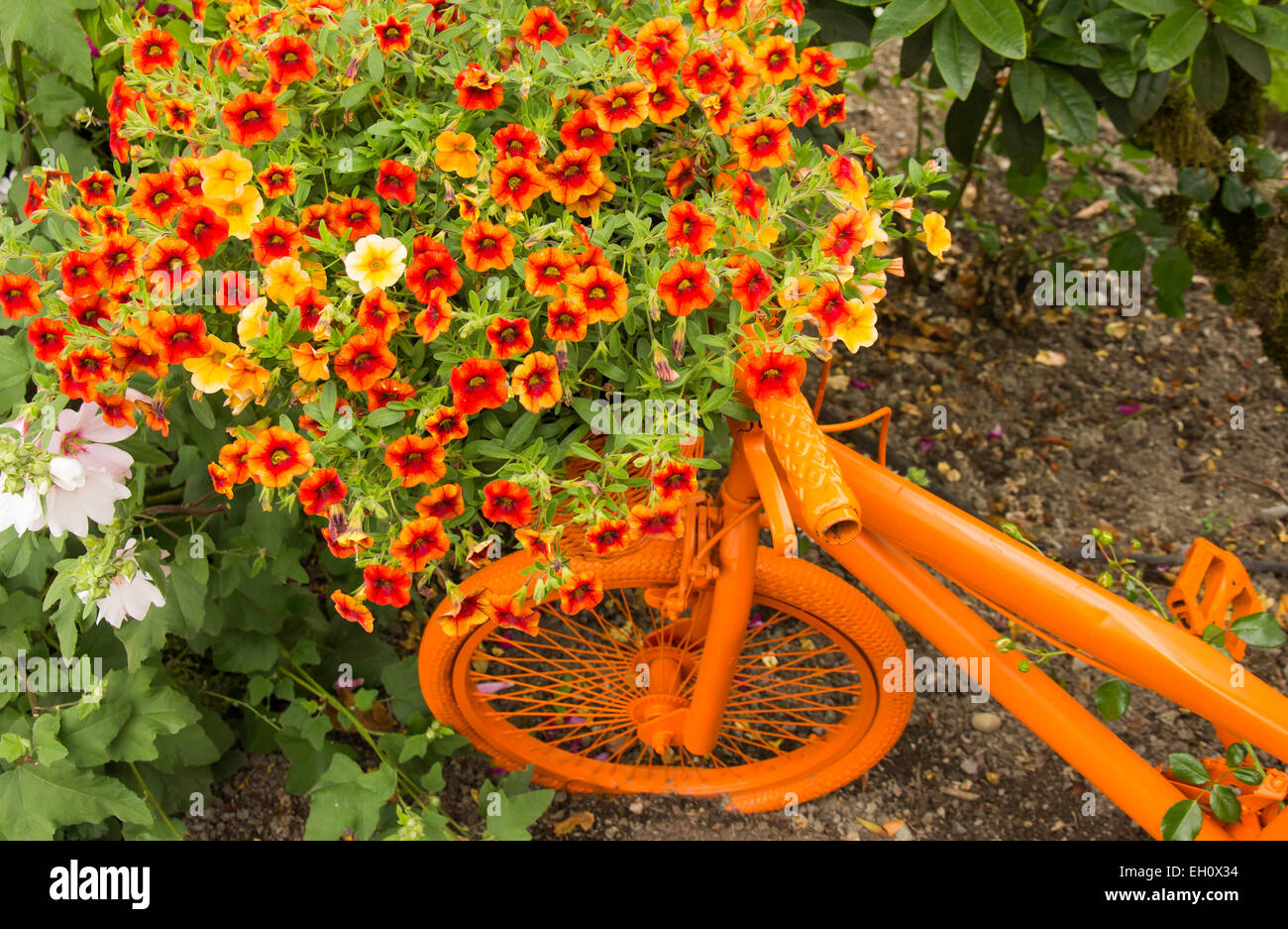 L'art de jardin location orange avec un énorme bouquet de pétunias à fleurs. Banque D'Images
