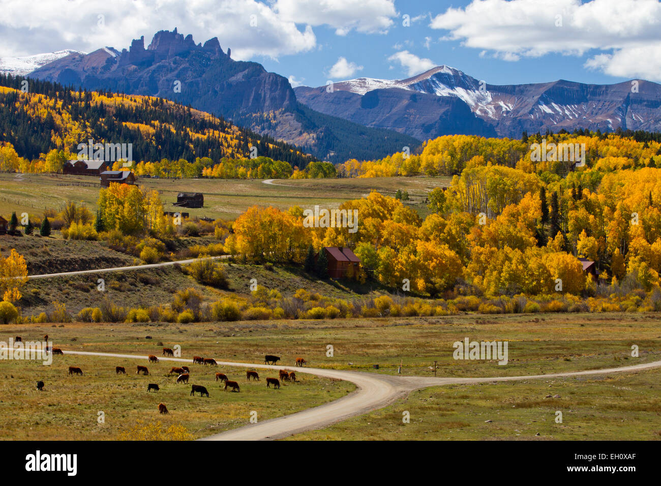 Scène d'automne dans la Forêt Nationale de Gunnison, Colorado Banque D'Images