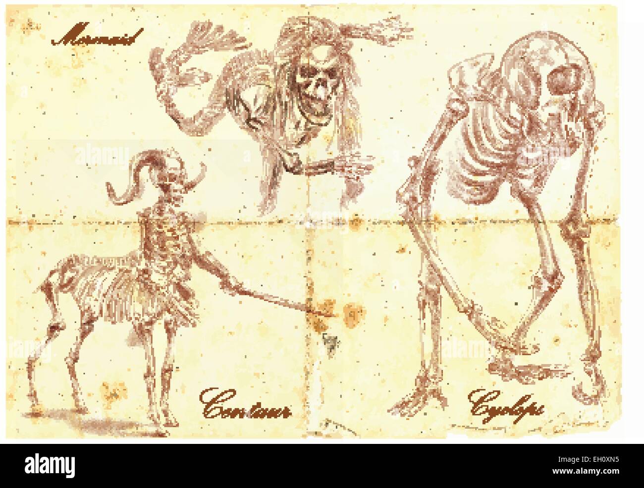 Un hand drawn vector illustration. Série d'animaux légendaires et de monstres (squelettes) : MERMAID, Cyclope, centaure. Dessins com Illustration de Vecteur