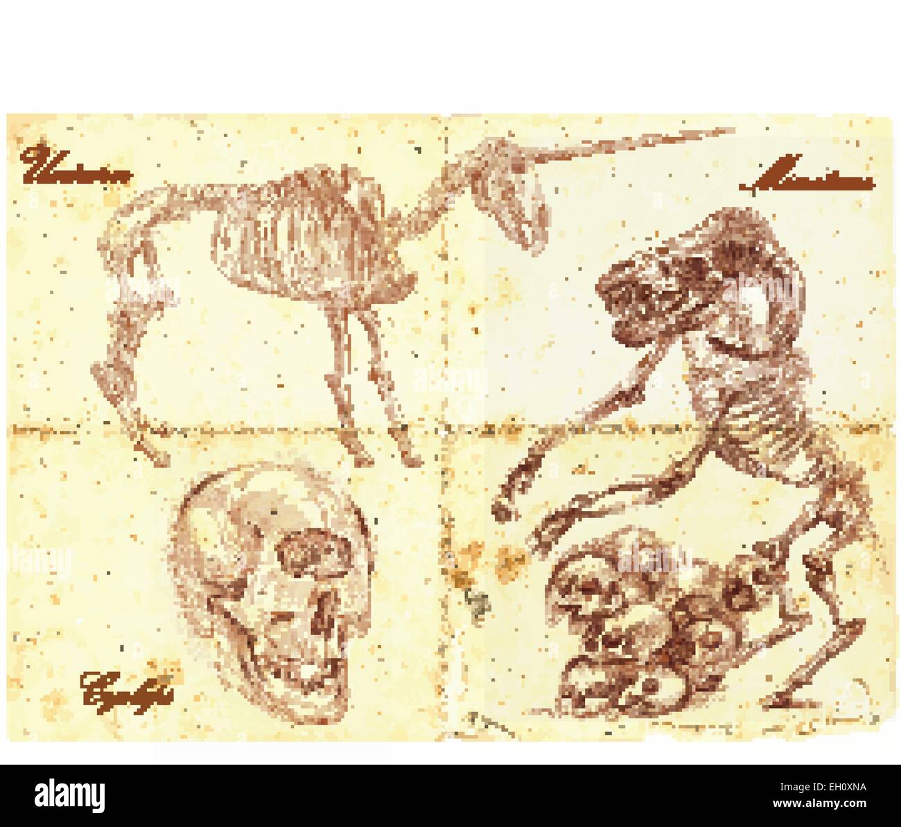 Un hand drawn vector illustration. Série d'animaux légendaires et de monstres (squelettes) : UNICORN, Cyclope, minotaure. Dessins co Illustration de Vecteur