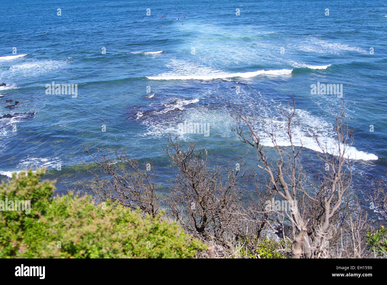 Mushroom reef marine sanctuary, Mornington Peninsula Banque D'Images