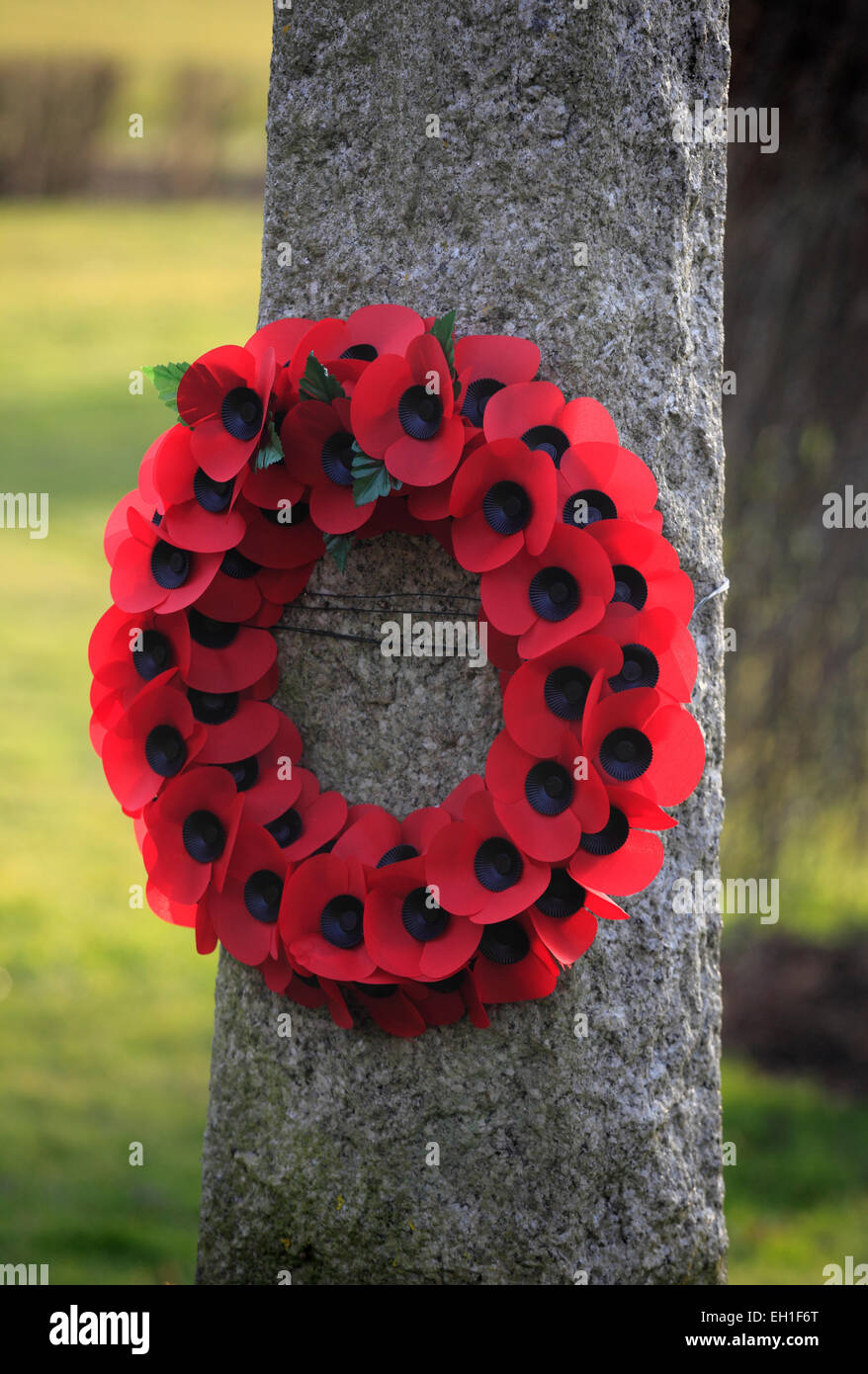 Guirlande de pavots du souvenir sur un monument de guerre dans Fring, Norfolk. Banque D'Images