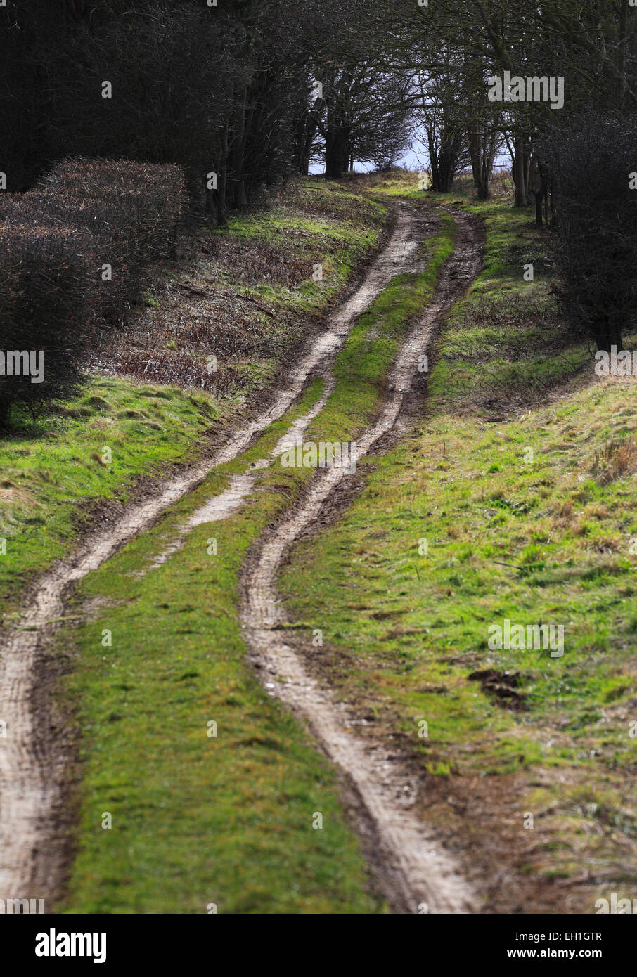 L'Peddar's Way path près de Fring à Norfolk. Banque D'Images