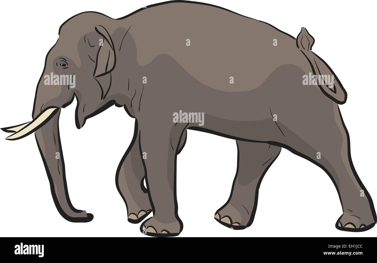 Illustration vectorielle modifiable d'un éléphant d'Asie à pied Illustration de Vecteur