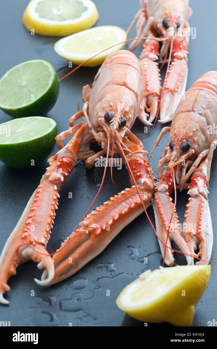 Homard norvégien frais avec lime et citron. Banque D'Images