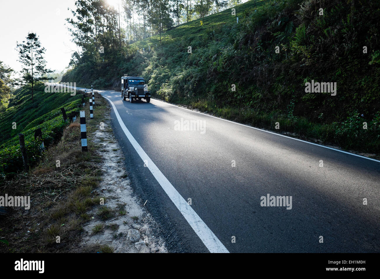 La route pour les plantations de thé de Munnar, Inde Banque D'Images