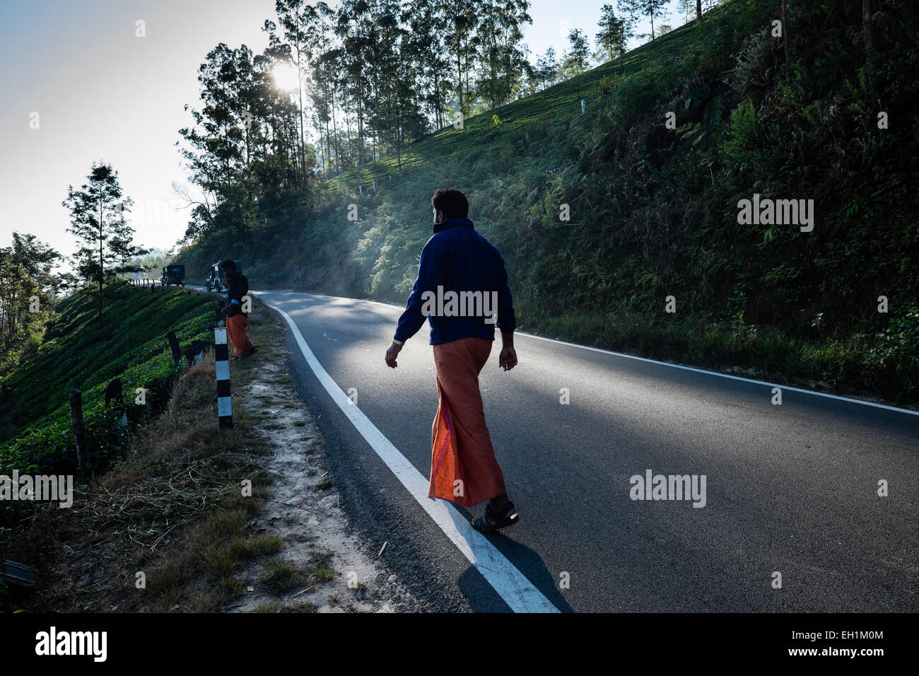 La route pour les plantations de thé de Munnar, Inde Banque D'Images