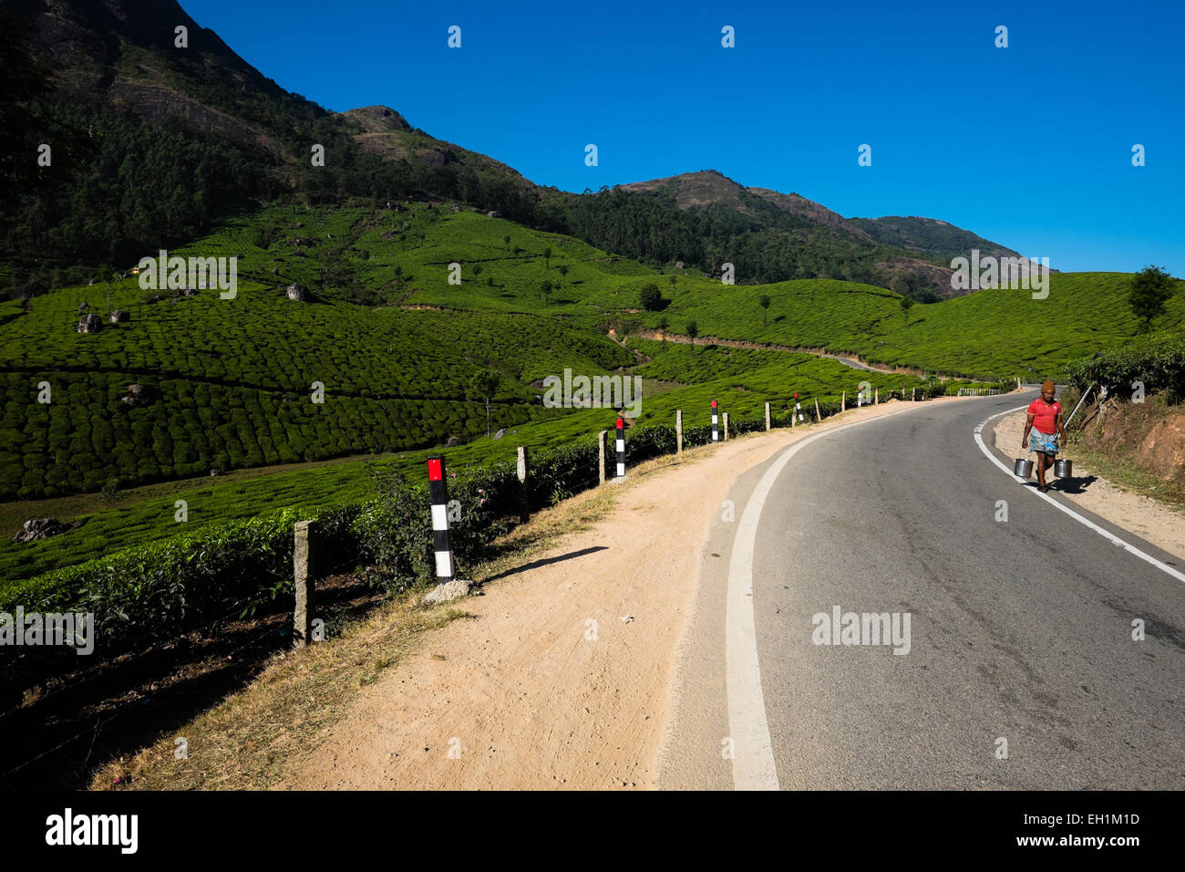 La route pour les plantations de thé de Munnar, Inde Banque D'Images