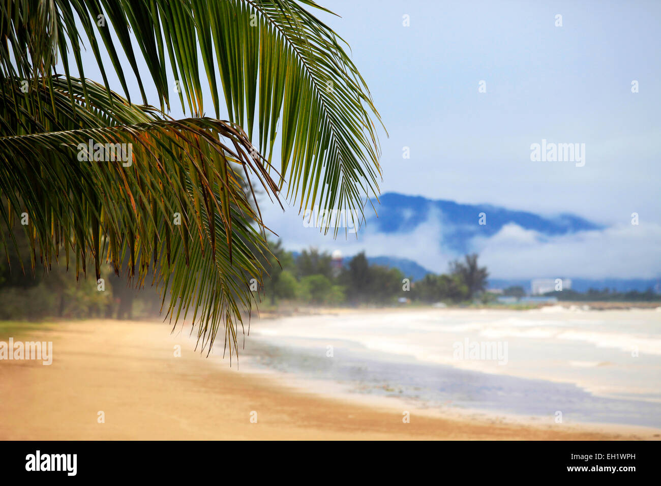 Vue de nice plage tropicale avec palm. Borneo, Malaisie Banque D'Images