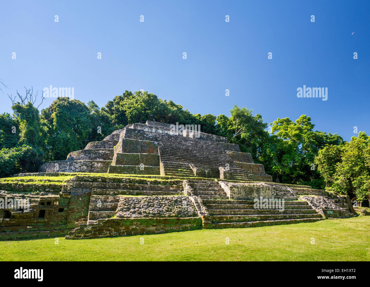 Temple de Jaguar à Lamanai, ruines mayas, rainforest près d'Indian Church village, district d'Orange Walk, Belize Banque D'Images