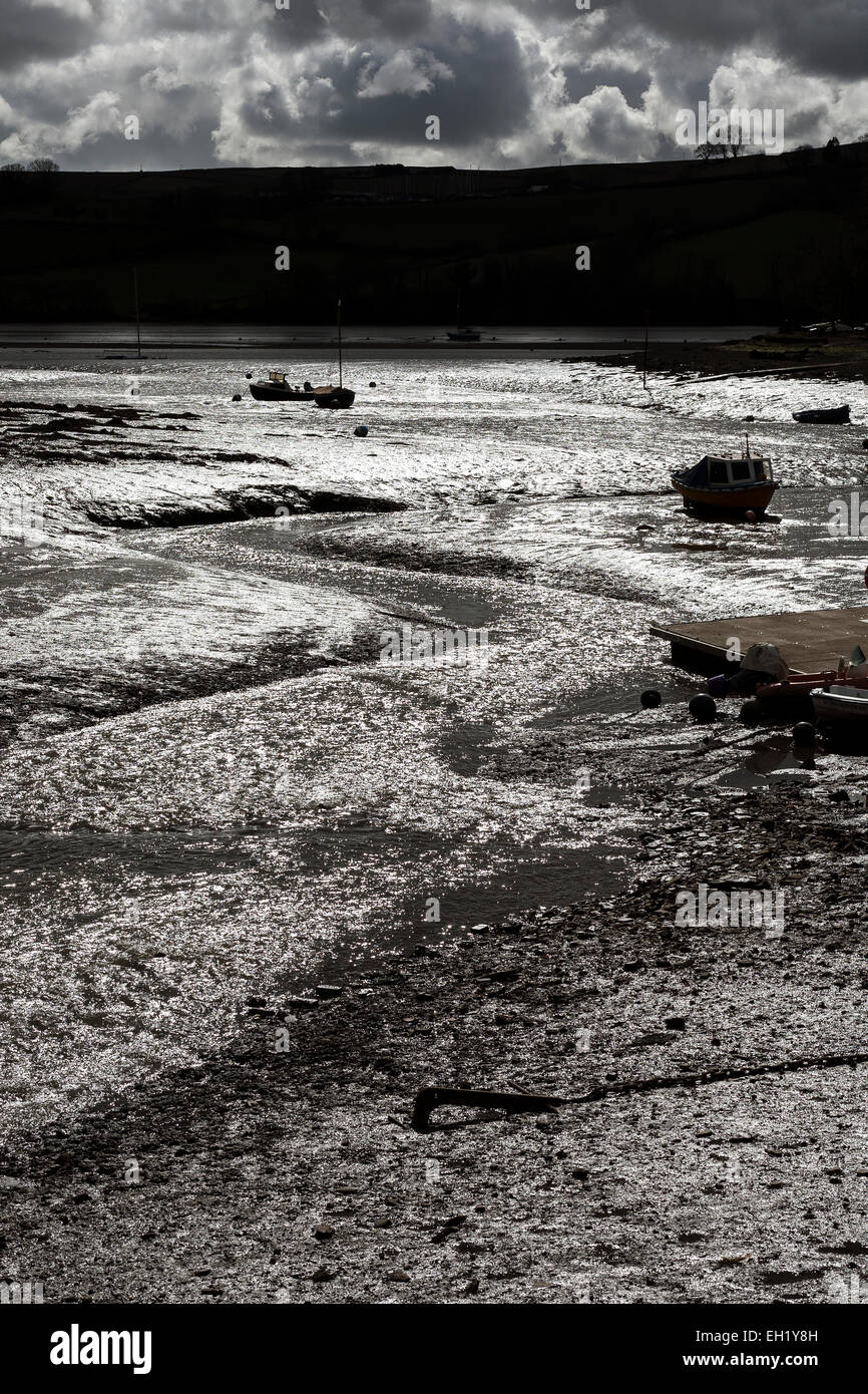 Marée basse à Stoke gabriel, South Hams, Devon, rivière, de la rivière Dart, l'eau, l'eau qui coule, Devon, feuille, arbre, rocher, Port, Obsolet Banque D'Images