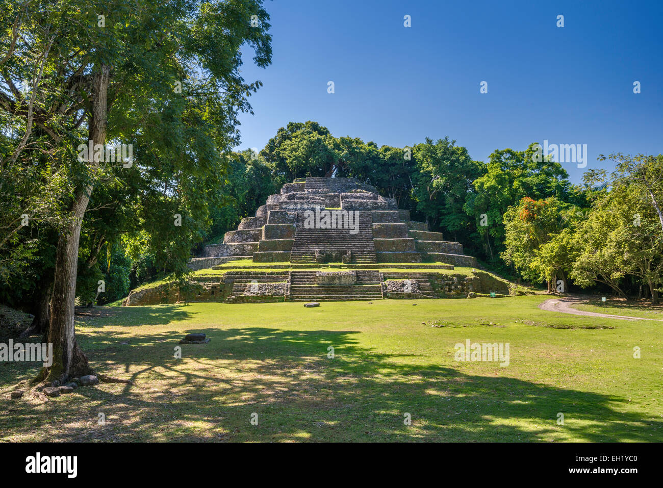 Temple de Jaguar, vu de l'autre côté de la plaza, à Lamanai, ruines mayas, rainforest près d'Indian Church village, district d'Orange Walk, Belize Banque D'Images