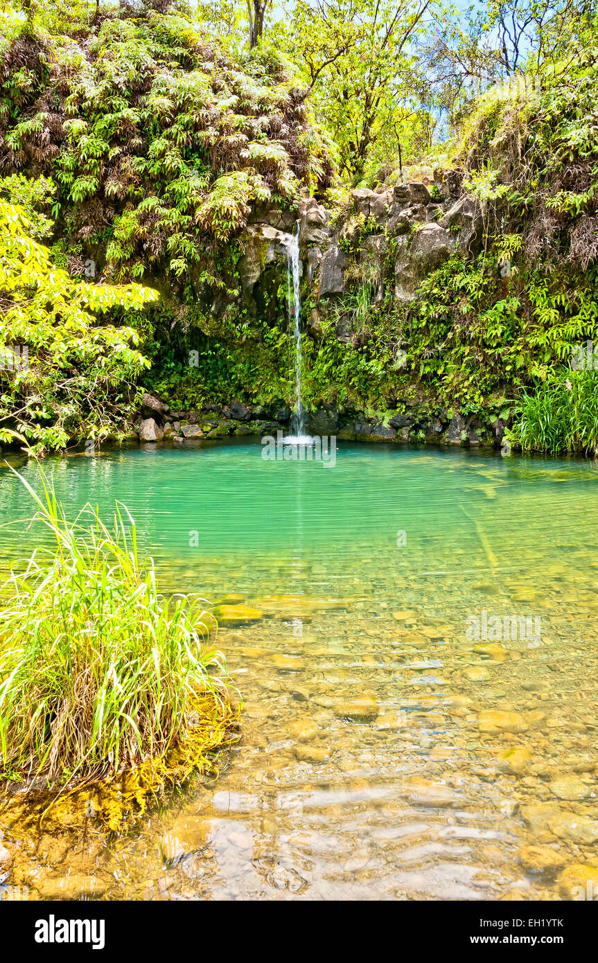 La vue jour de printemps nourris avec piscine sur la route de Hana - Maui, Hawaii Banque D'Images