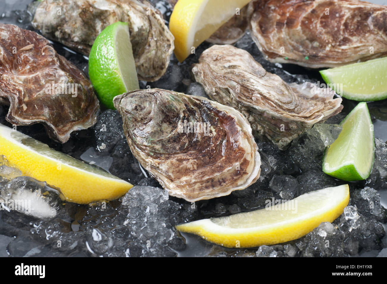 Les huîtres sur glace avec citron et de lime. Banque D'Images