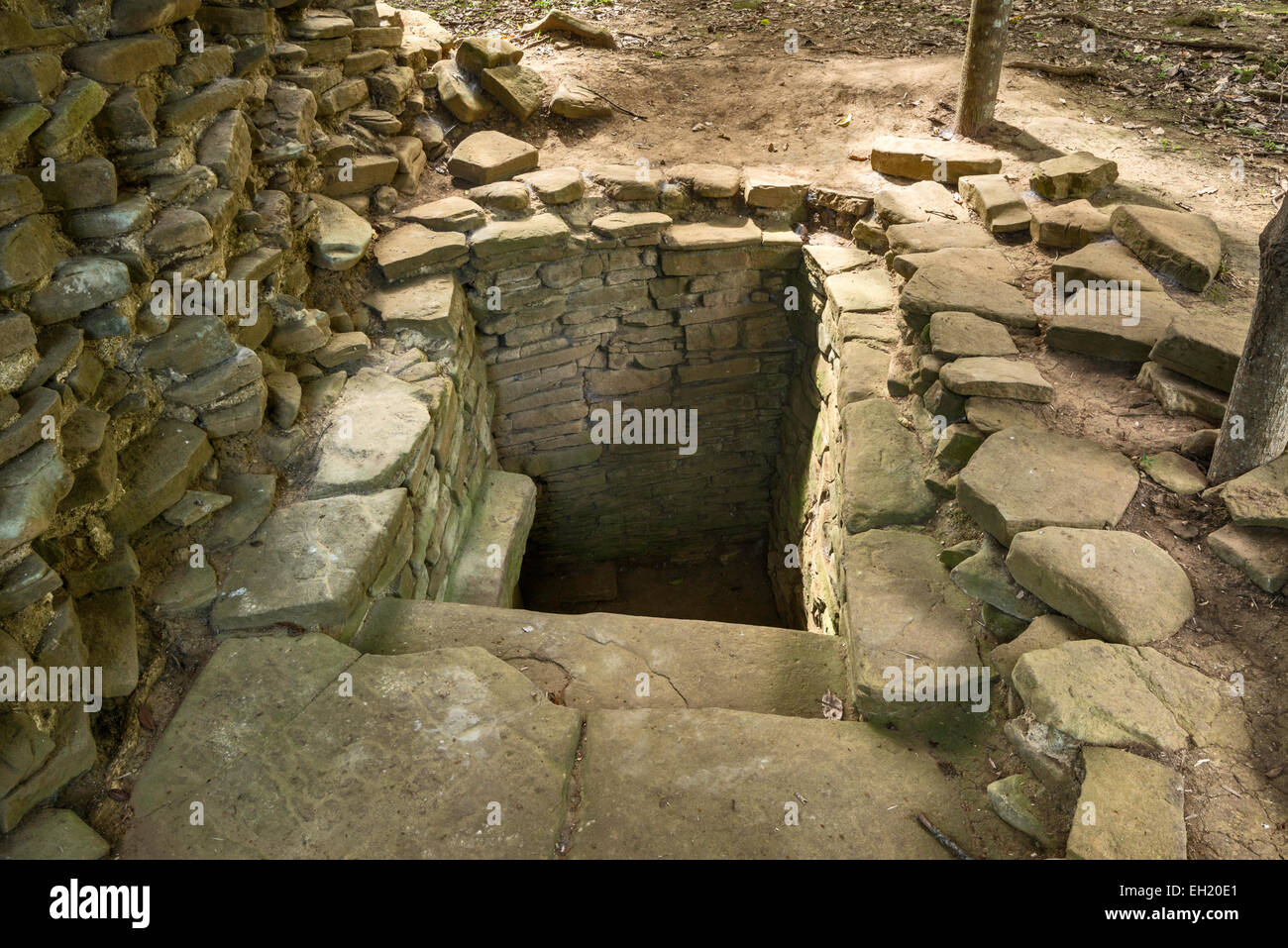 Tombeau ouvert, Nim Li punit, ruines mayas, Autoroute du sud, district de Toledo, Belize Banque D'Images