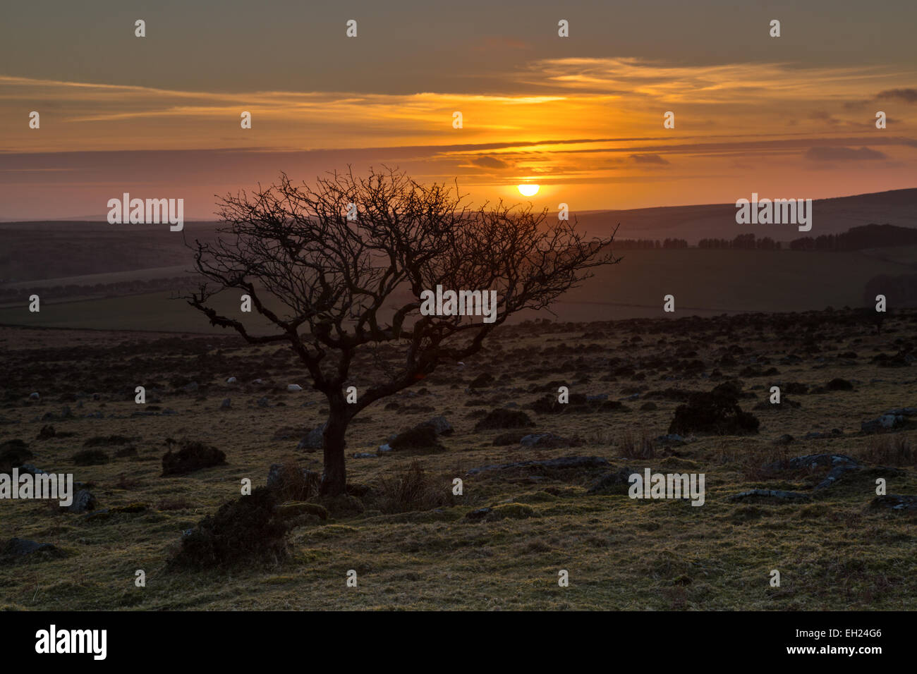 Dernière lumière du jour sur Craddock Moor sur Bodmin Moor en Cornouailles Banque D'Images