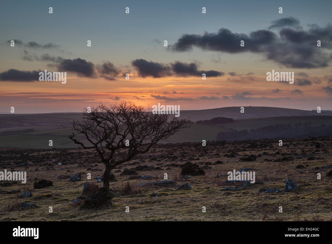 Coucher de soleil sur Craddock Moor sur Bodmin Moor en Cornouailles du Nord Banque D'Images