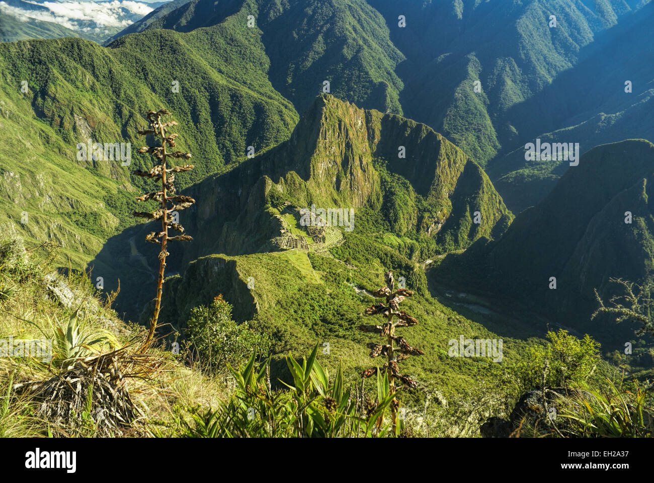 Vue panoramique de célèbres ruines de Machu Picchu dans les Andes péruviennes, l'Amérique du Sud Banque D'Images
