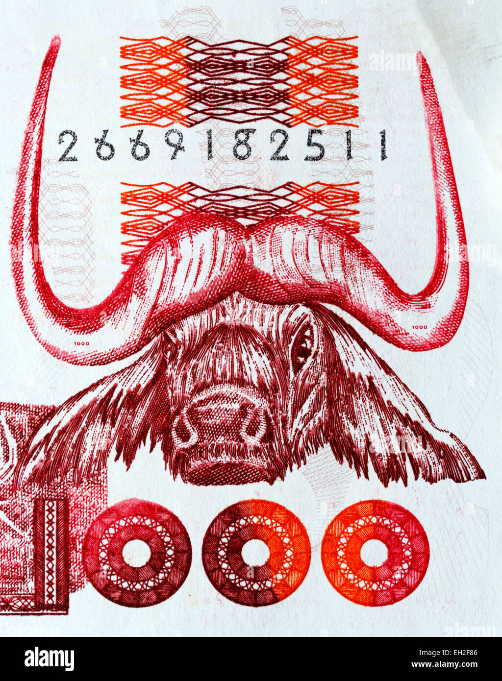 Tête d'antilope à partir de 1000 dinars billet, Algérie, 1996 Banque D'Images