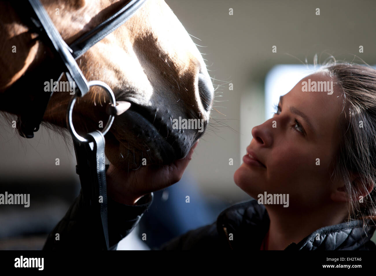 Une jeune femme de caresser les chevaux un nez, Close up Banque D'Images
